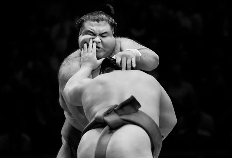 Martial Arts - Gold: Unusual sumo attack by Tom Jenkins - 2026 World Sports Photography Awards Winners