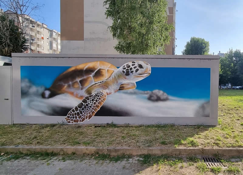 3D Street Art Murals by Cheone
