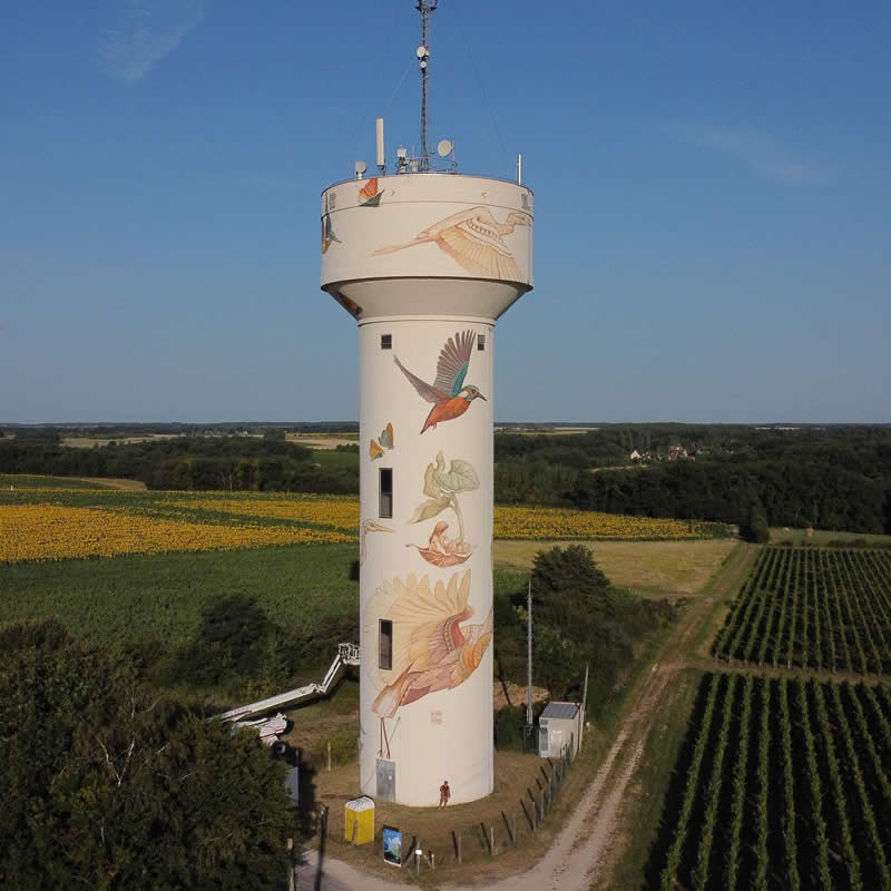 Street Art Wildlife Murals by Alegria del Prado