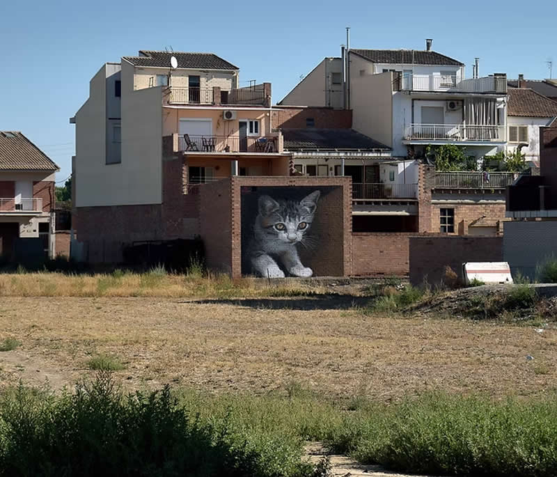 Torrefarrera - Big Wall Mural Paintings by Oriol Arumi