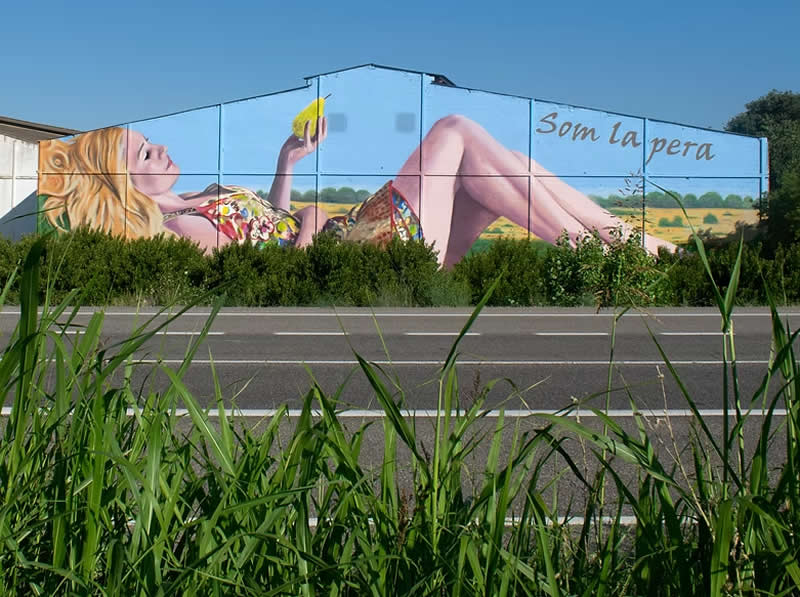 Torrelameu - Big Wall Mural Paintings by Oriol Arumi