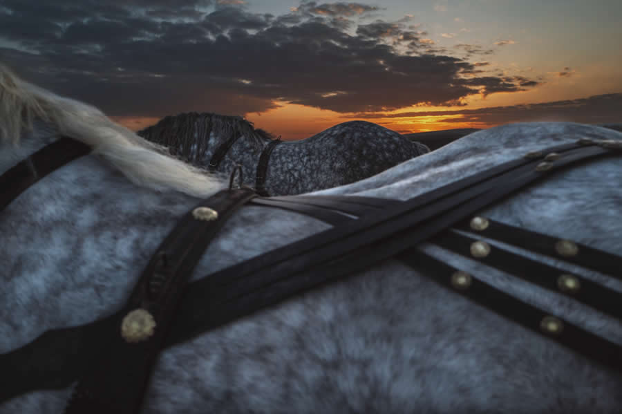 Street and Documentary Photography by Andrei Furnea