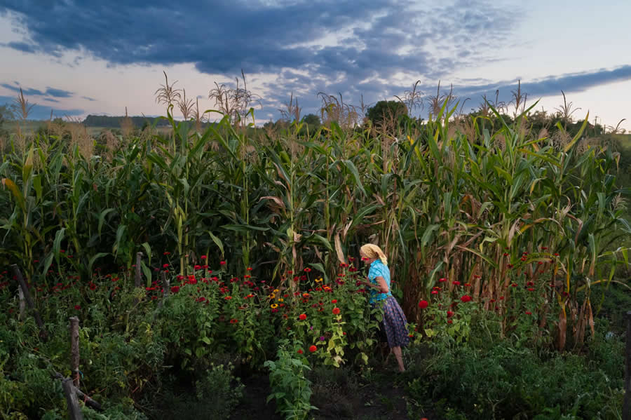 Street and Documentary Photography by Andrei Furnea
