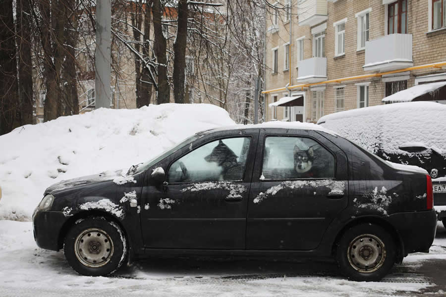 Street and Documentary Photography by Maria Plotnikova