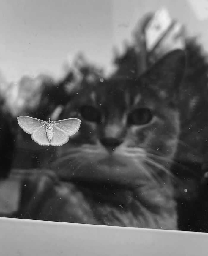 30 Remarkable Street Photos That Prove Timing Is Everything in Everyday Moments 35 Street Photos That Prove Timing Is Everything