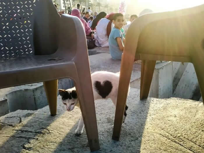 30 Remarkable Street Photos That Prove Timing Is Everything in Everyday Moments 40 Street Photos That Prove Timing Is Everything