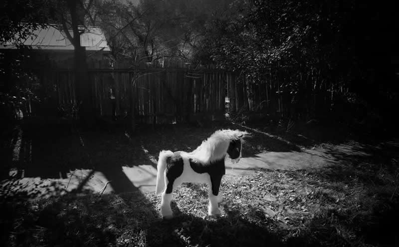 Artist Gallery Awards 2025 Black and White Winners