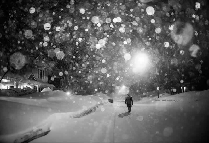 Artist Gallery Awards 2025 Black and White Winners