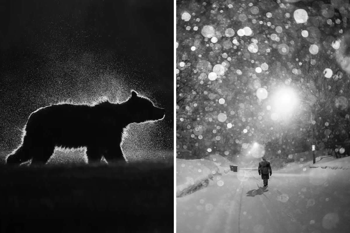 25 Black and White Award-Winning Photos from The Artist Gallery Awards 2025