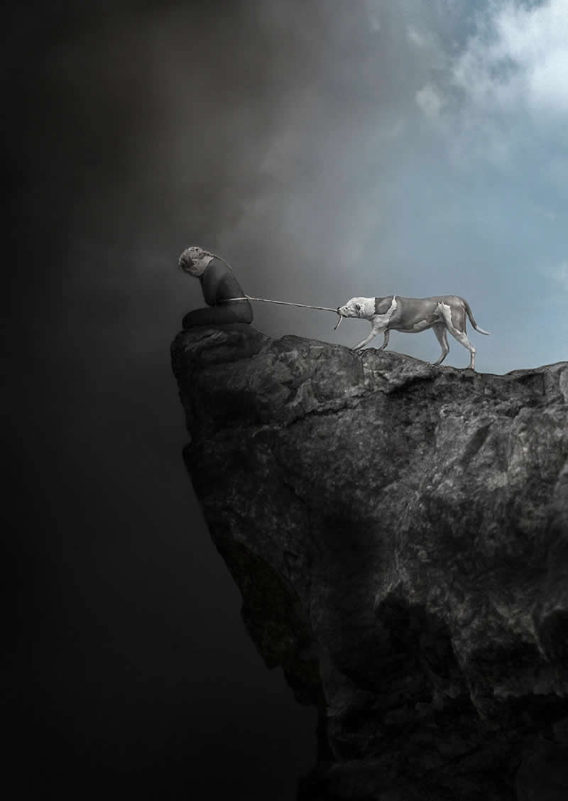 The Society of Photographers 2025 Winners