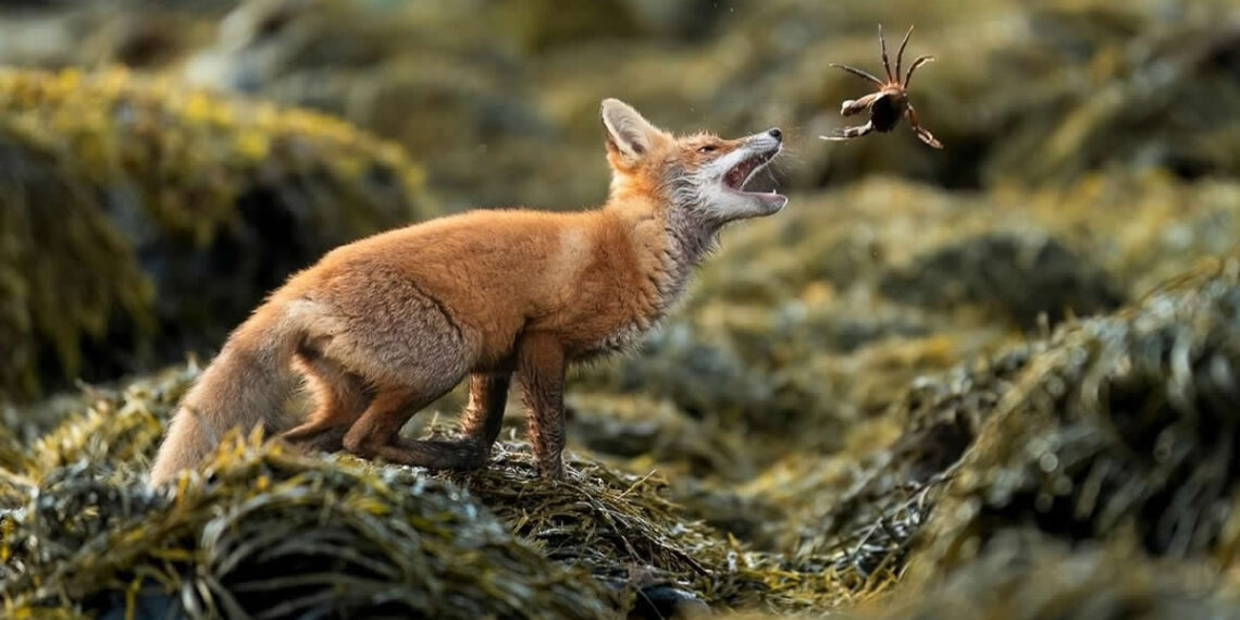 The Society of Photographers 2025 Winners