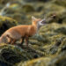 The Society of Photographers 2025 Winners
