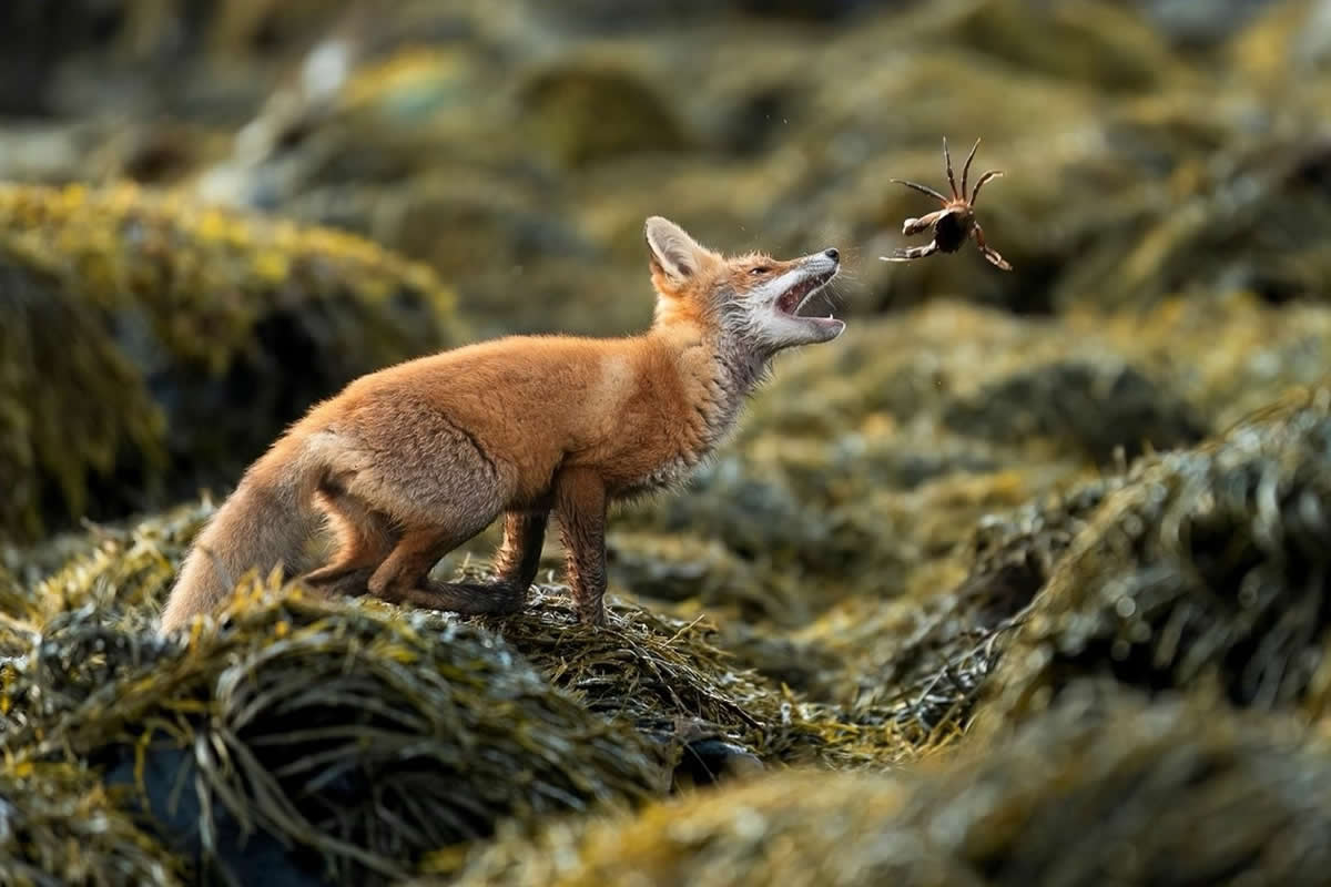 25 Outstanding Winners from The Society of Photographers’ Photographer of the Year 2025