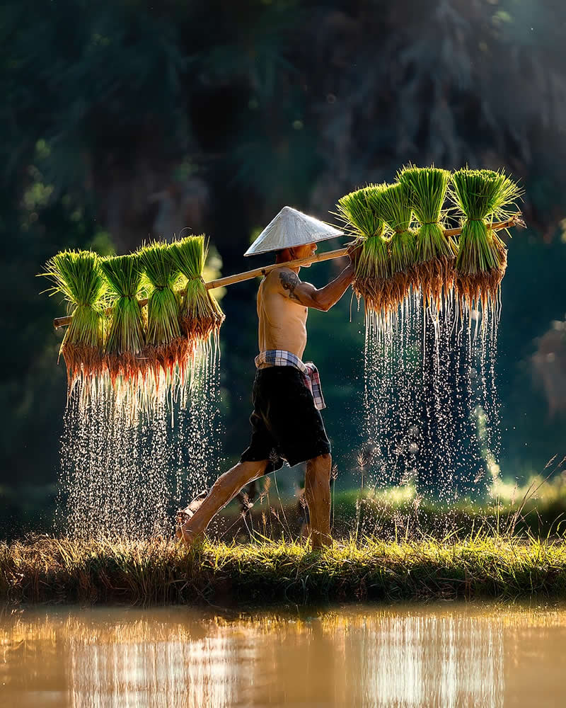 Travel and Aerial Photography by Suhas Nalawade