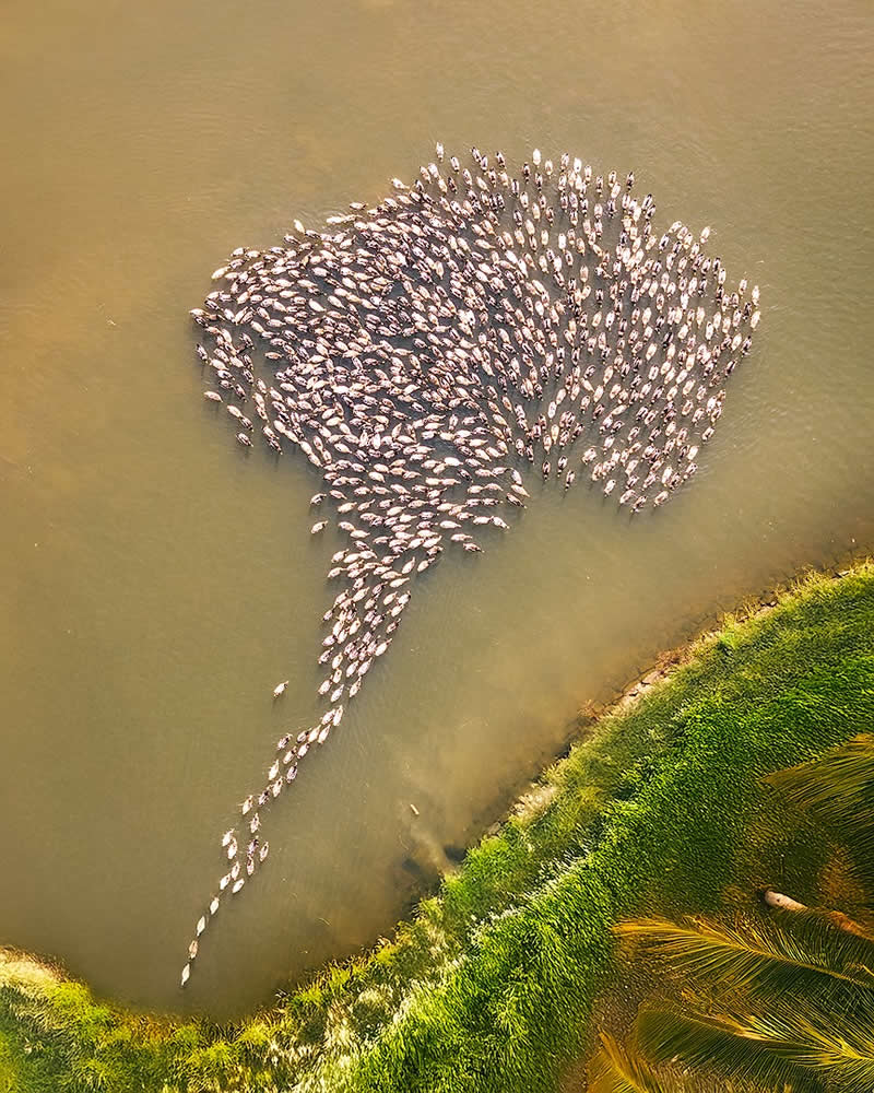 Travel and Aerial Photography by Suhas Nalawade