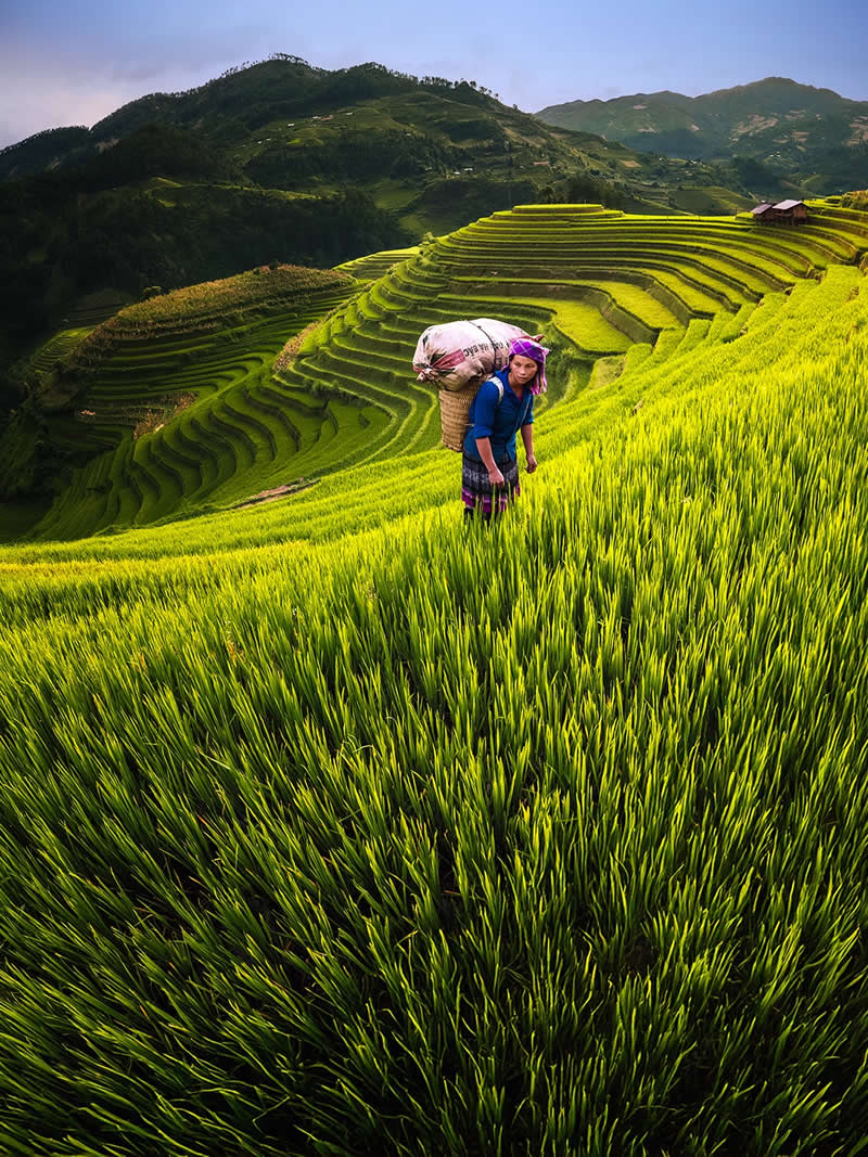 Travel and Aerial Photography by Suhas Nalawade