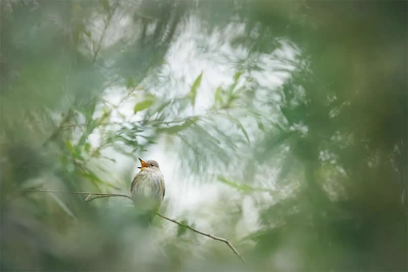 Young TPOTY – 15 to 18 Winner - Matei Maracineanu, Romania (age 15) - Travel Photographer of the Year 2025 Winners