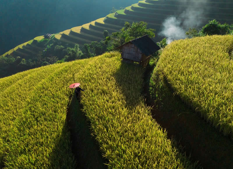 Morning time in the rice fields - Travel and Cuture Photography by Erdem Kilic