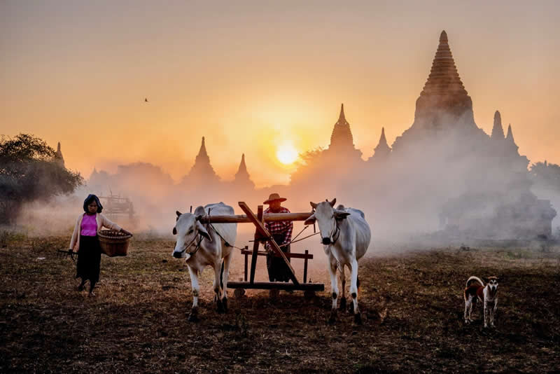 Farmers at sunset - Travel and Cuture Photography by Erdem Kilic