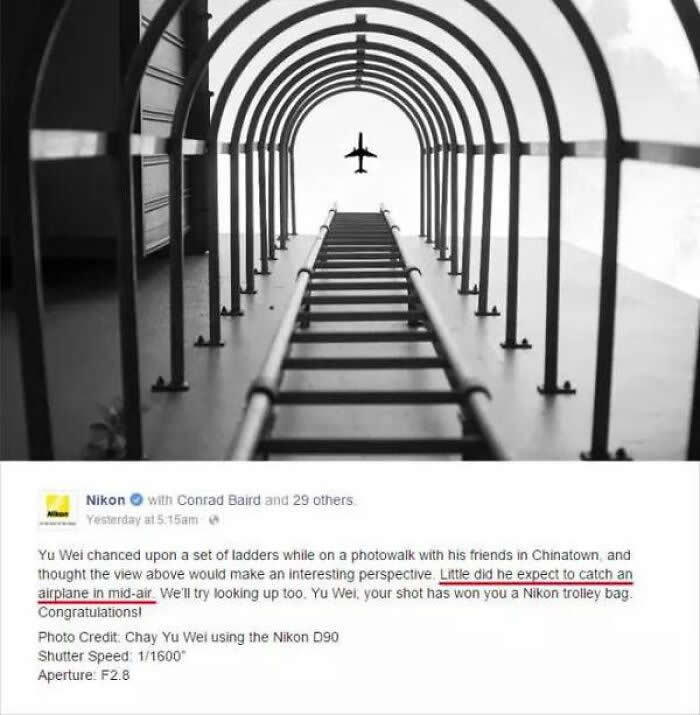 Viral Images That Look Completely Real but Not