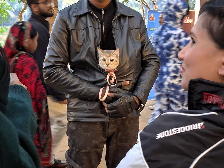 A Quiet Dialogue Between Humans and Animals by Sohail Bin Mohammad