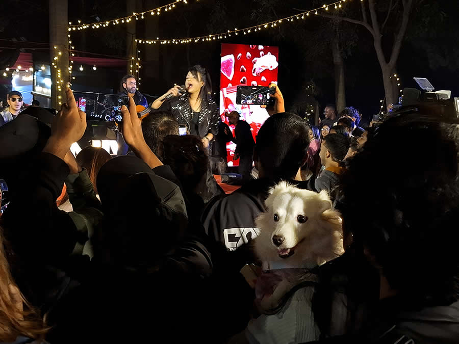 A Quiet Dialogue Between Humans and Animals by Sohail Bin Mohammad