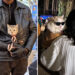 A Quiet Dialogue Between Humans and Animals by Sohail Bin Mohammad