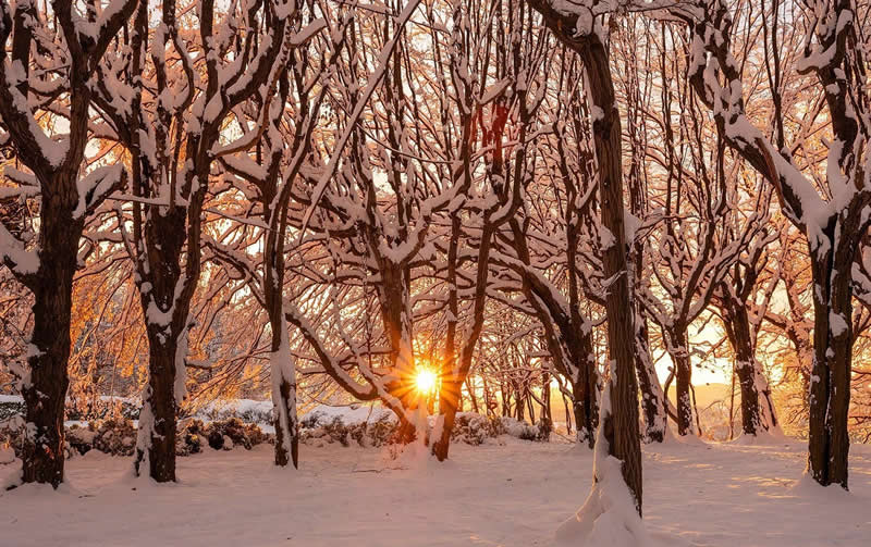Beautiful Winter Photos in Southern Poland by Michal Skarbinski