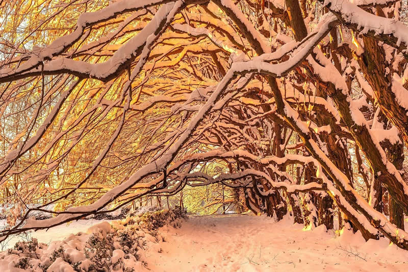 Beautiful Winter Photos in Southern Poland by Michal Skarbinski