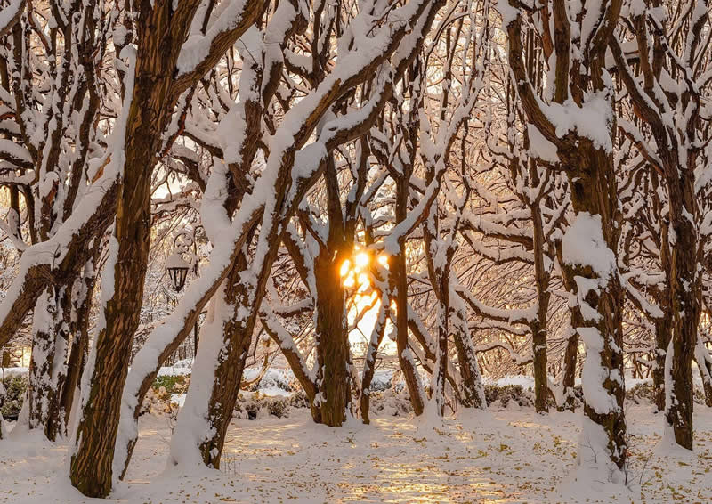 Beautiful Winter Photos in Southern Poland by Michal Skarbinski