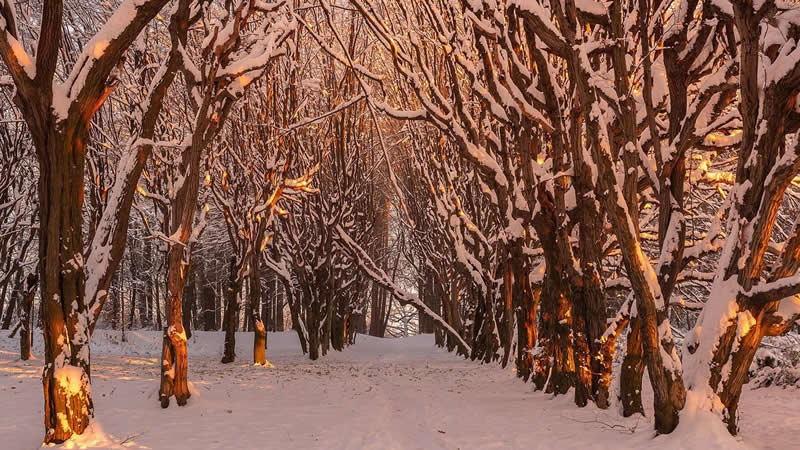 Beautiful Winter Photos in Southern Poland by Michal Skarbinski