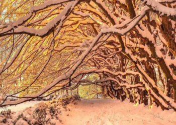 Beautiful Winter Photos in Southern Poland by Michal Skarbinski