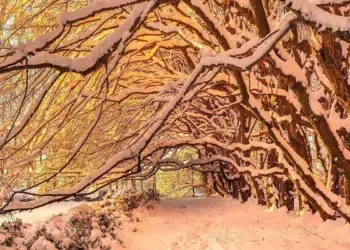 winter in southern poland