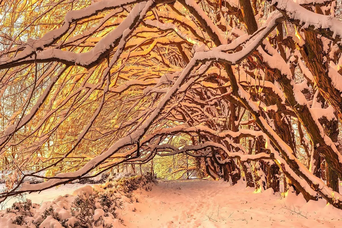 20 Breathtaking Winter Images from Southern Poland’s Snow-Covered Landscapes