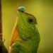 2025 500px Global Photography Awards
