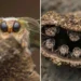Close-up macro insect photography 2025