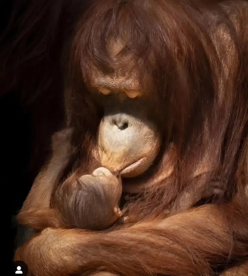 A Lifetime in One Embrace