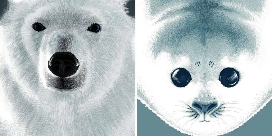 animal portraits illustrations amandine delaunay