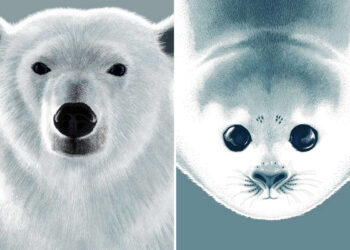 The Fairy-Tale Animal World of Amandine Delaunay