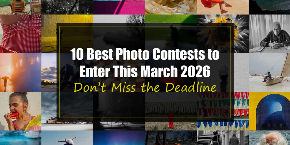 Don’t Miss the Deadline: 10 Best Photo Contests to Enter This March 2026 11 10 Best Photo Contests to Enter This March 2026