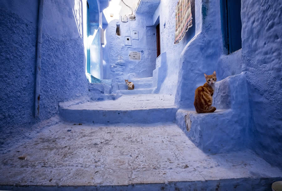 Chefchaouen Morocco Street Photography by Roberto Pileri
