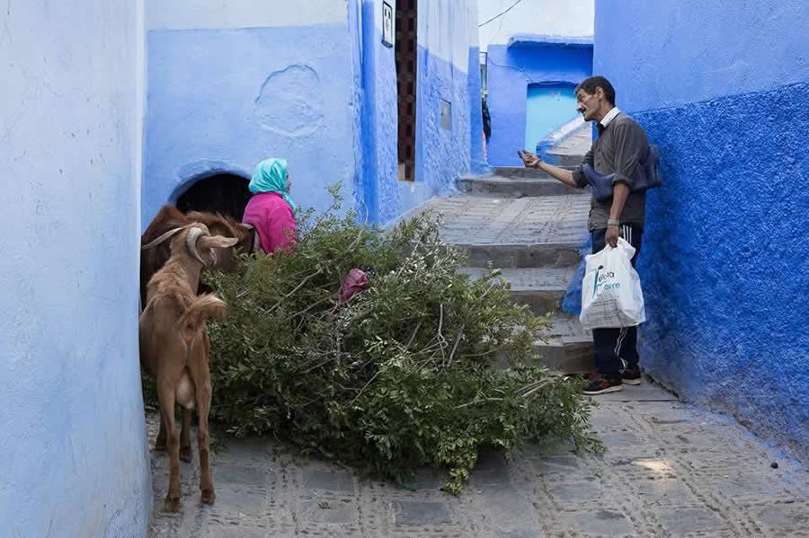 Chefchaouen Morocco Street Photography by Roberto Pileri