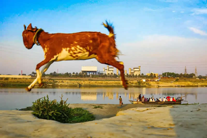 APF Magazine Street Photography Dynamism Theme Winners 2026