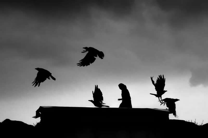 APF Magazine Street Photography Dynamism Theme Winners 2026