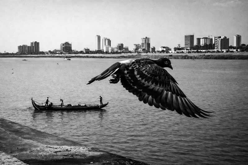 APF Magazine Street Photography Dynamism Theme Winners 2026