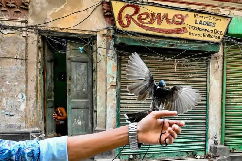 APF Magazine Street Photography Dynamism Theme Winners 2026