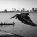 dynamism street photography apf magazine 2026 winners