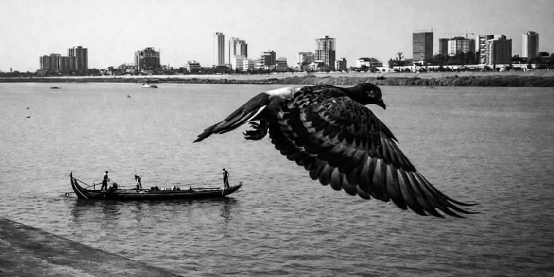 APF Magazine Street Photography Dynamism Theme Winners 2026