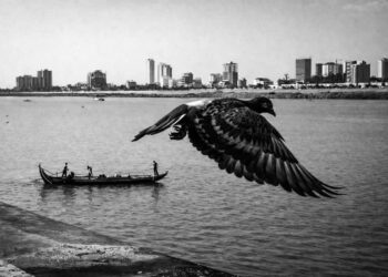 APF Magazine Street Photography Dynamism Theme Winners 2026