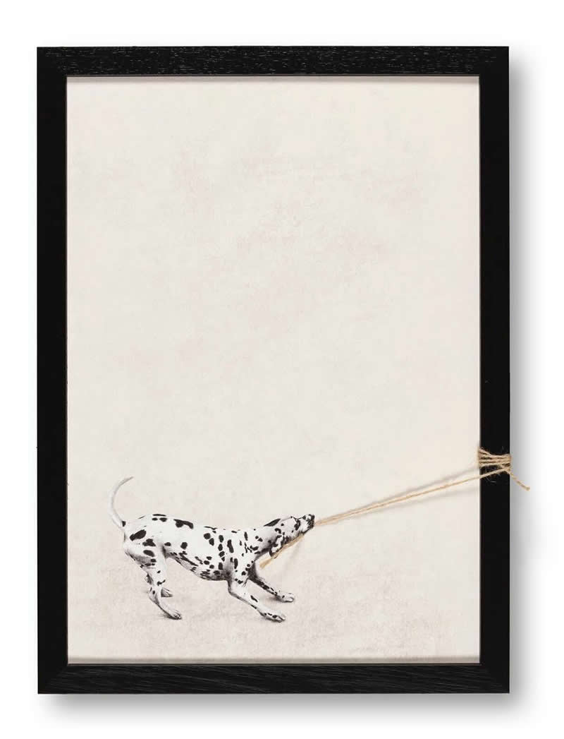 Frame Experiments by Andrew Scott That Break the Rules of Contemporary Art